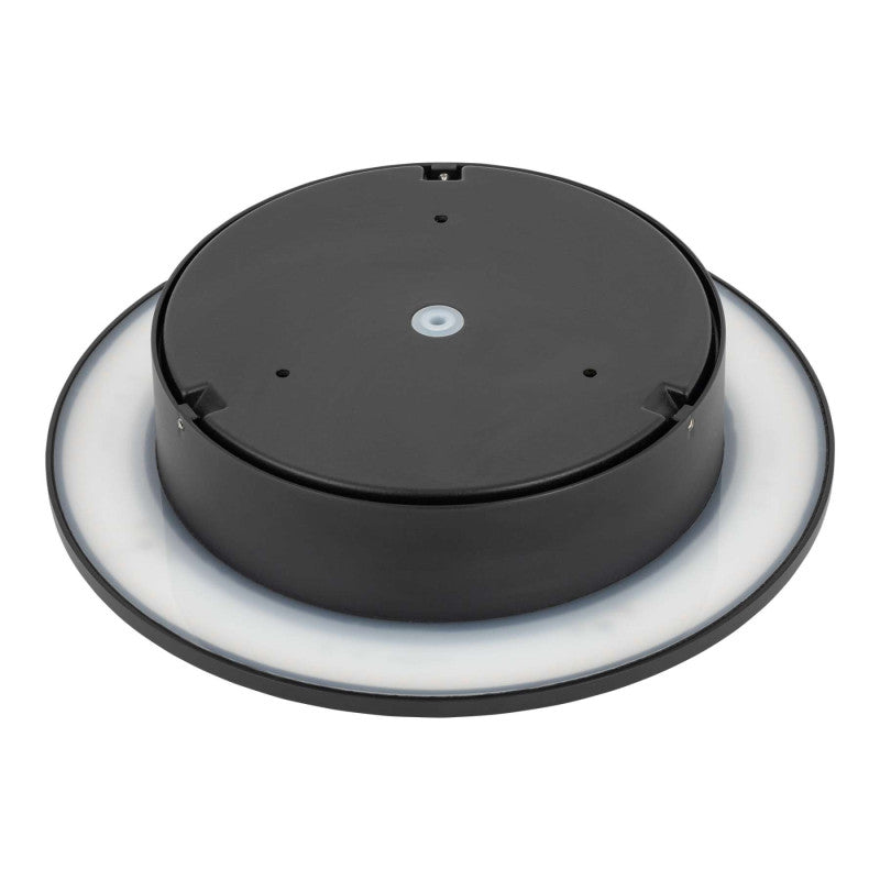 ARIA LED buitenwandlamp zwart XL, afbeelding 5