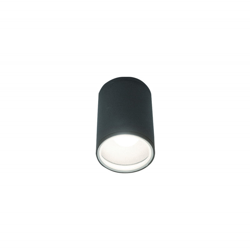FOG I buitenplafondlamp grafiet