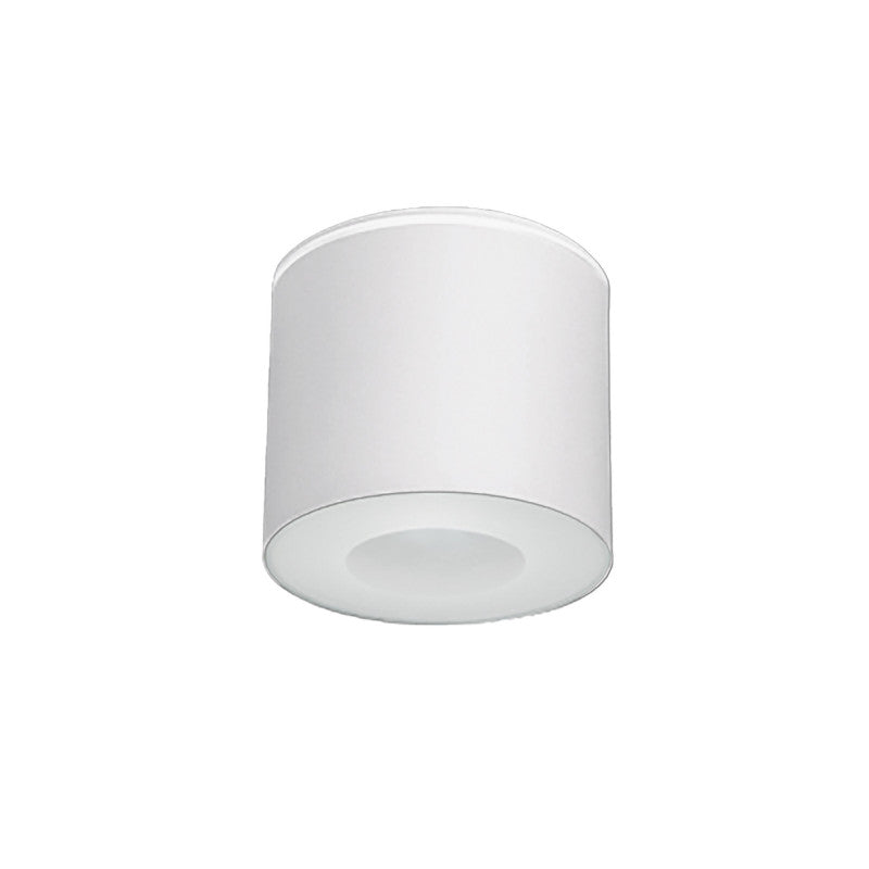 HEXA buitenplafondlamp wit