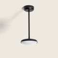 TERBANO buitenhanglamp zwart