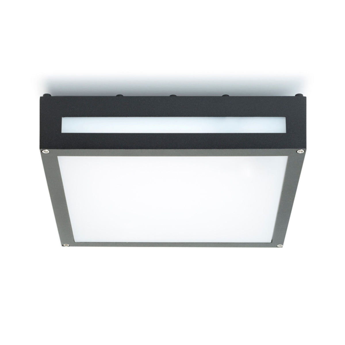 PLAKA buitenplafondlamp zwart, afbeelding 2