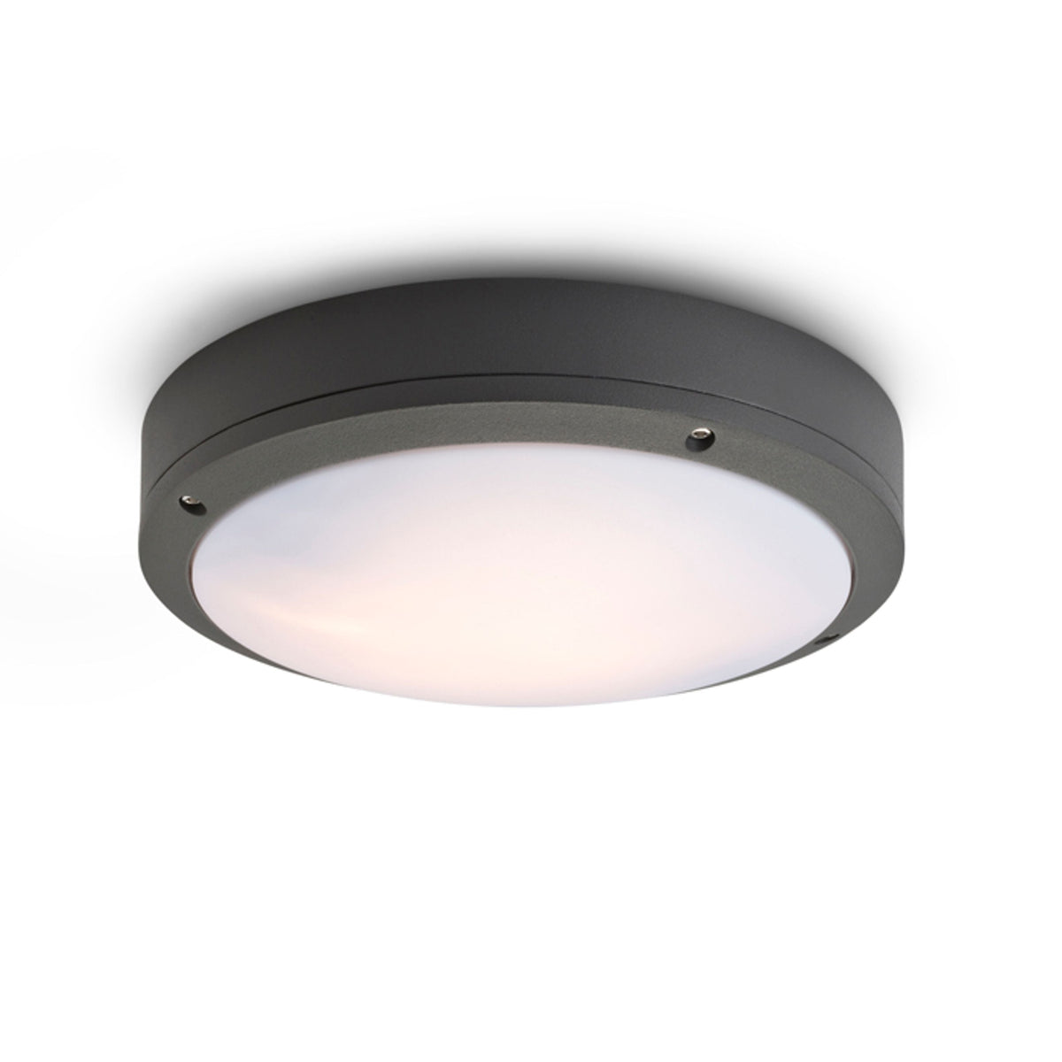 SONNY buitenplafondlamp antraciet