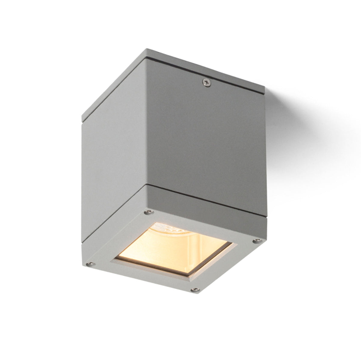 QUADRA M buitenplafondlamp zilvergrijs