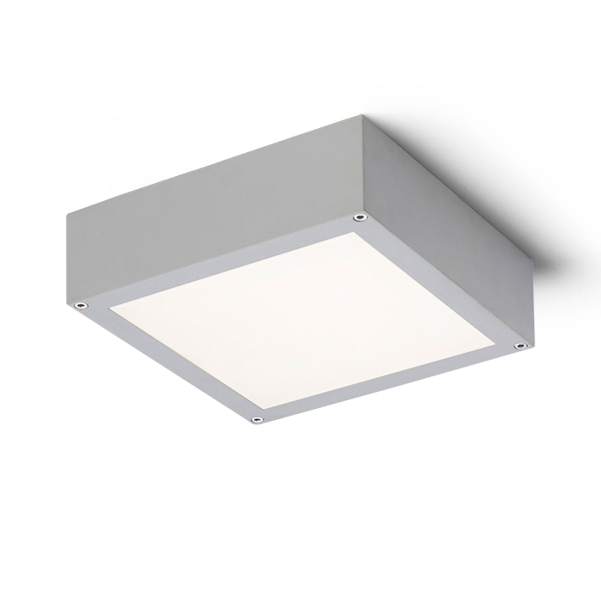 SCOTT buitenplafondlamp zilvergrijs
