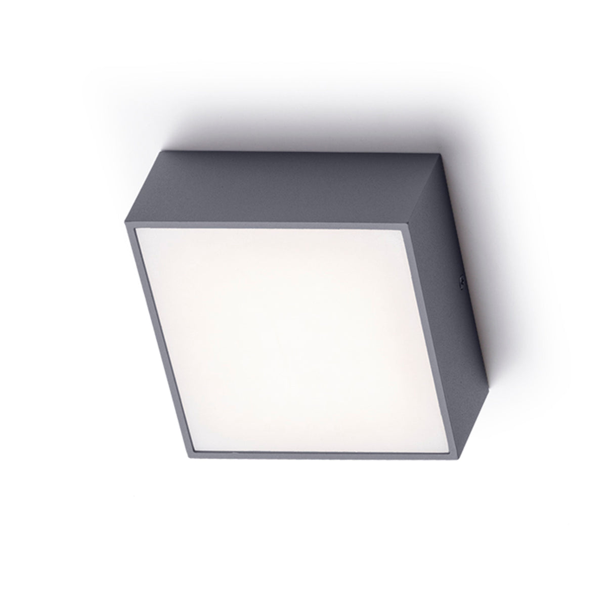 BONO buitenplafondlamp antraciet