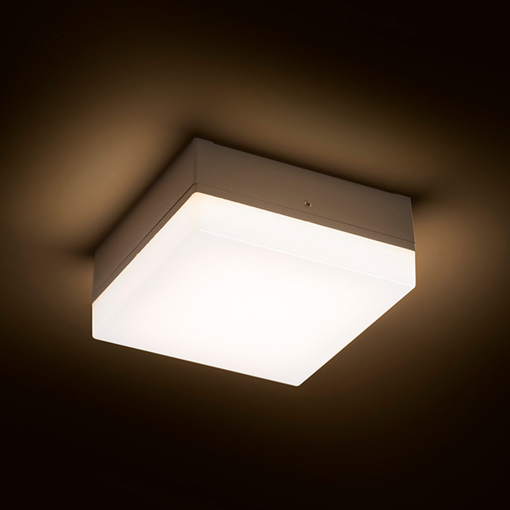 SPECTACLE buitenplafondlamp zilvergrijs, afbeelding 2
