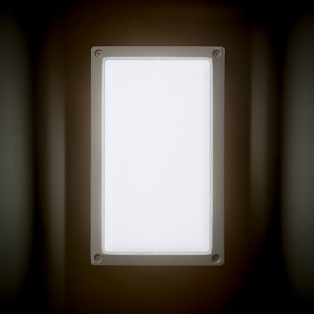 ASPEN buitenplafondlamp zilvergrijs, afbeelding 5