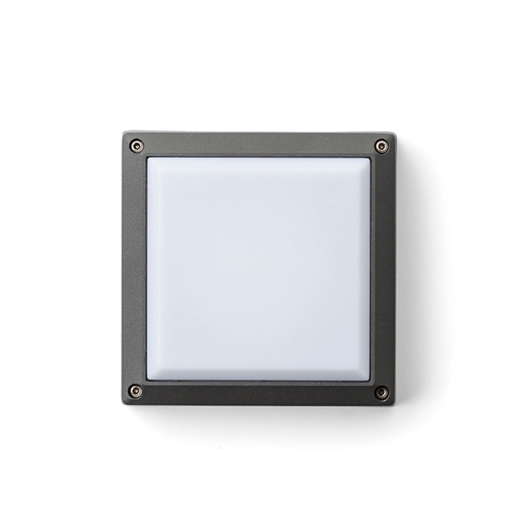 DELTA 145 OPBOUW buitenplafondlamp antraciet, afbeelding 2