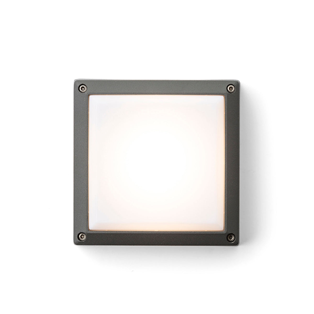 DELTA 145 OPBOUW buitenplafondlamp antraciet, afbeelding 3