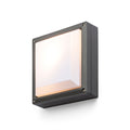 DELTA 215 buitenplafondlamp antraciet