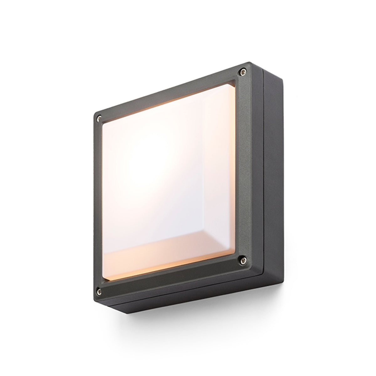 DELTA 215 buitenplafondlamp antraciet