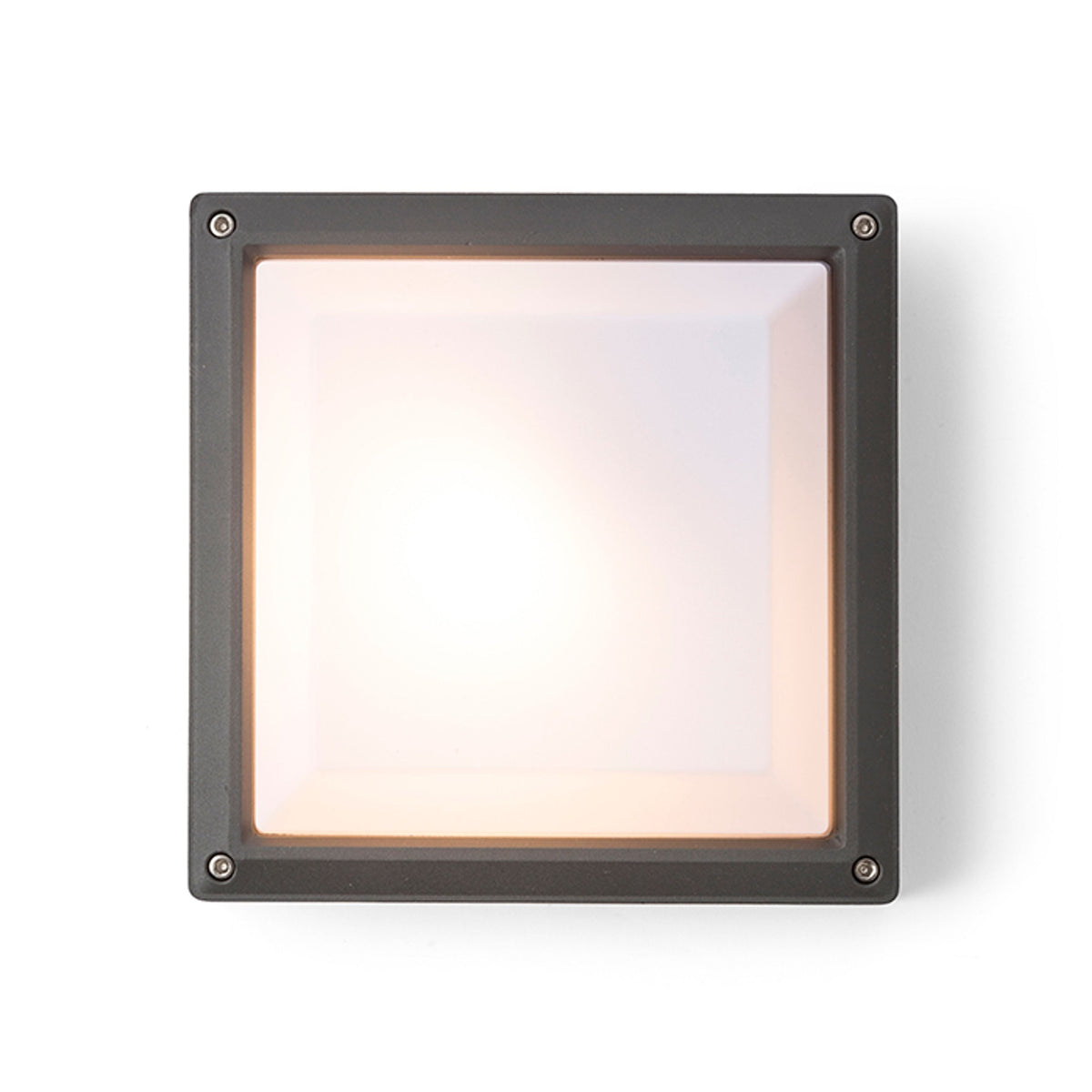 DELTA 215 buitenplafondlamp antraciet, afbeelding 3