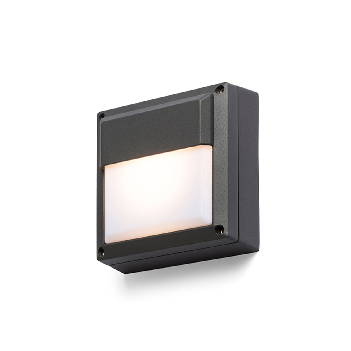 DELTA 145 WAND buitenwandlamp antraciet