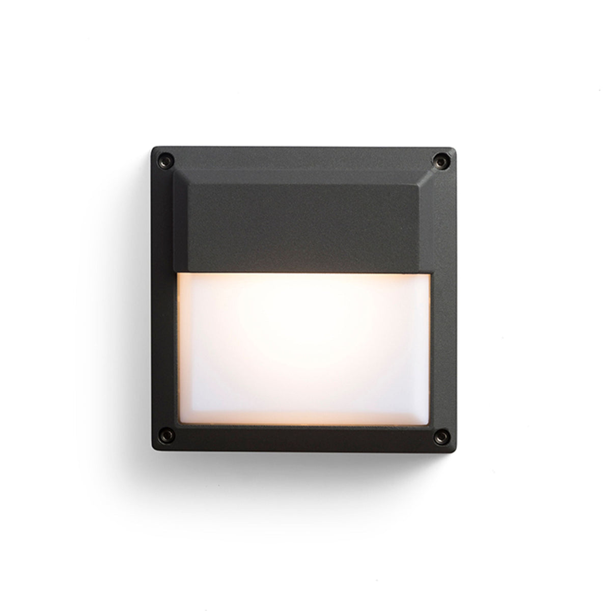 DELTA 145 WAND buitenwandlamp antraciet, afbeelding 3