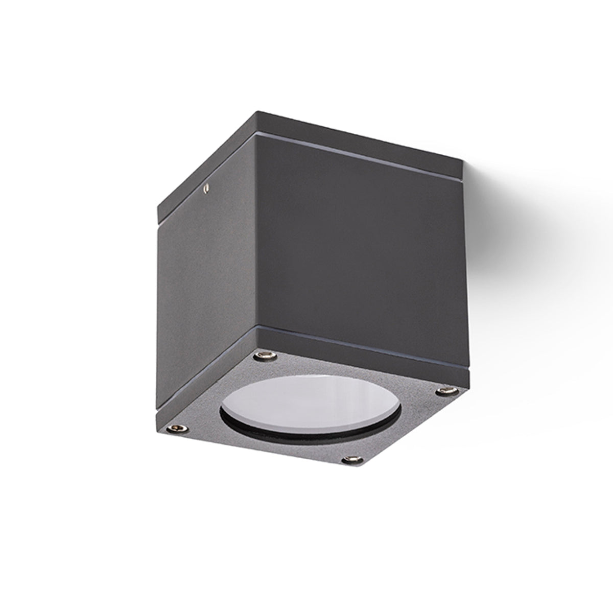 RODGE buitenplafondlamp antraciet