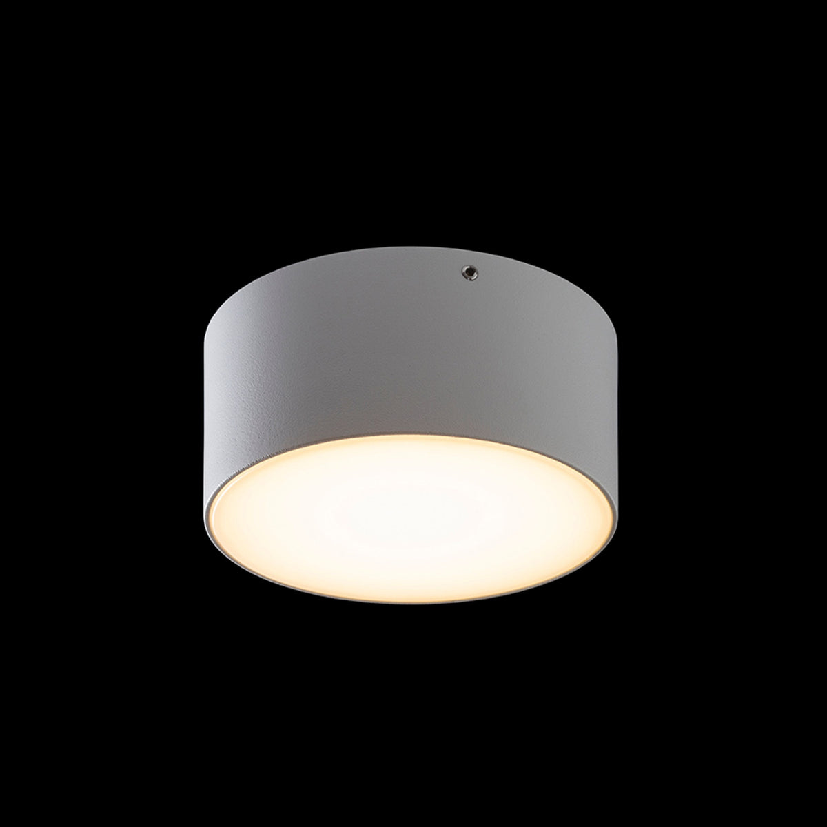 LARISA OUT 12 buitenplafondlamp wit, afbeelding 6