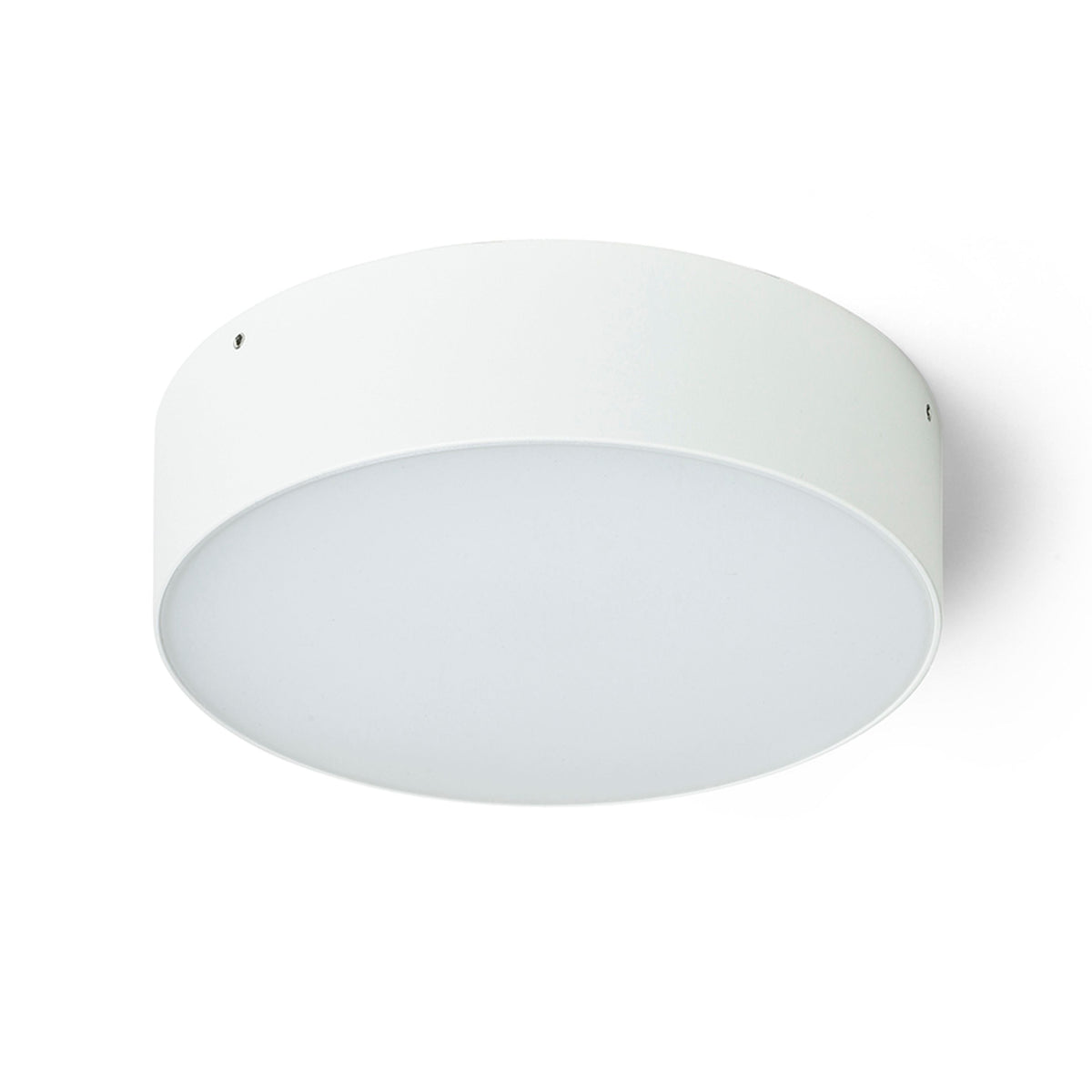 LARISA OUT 22 buitenplafondlamp wit