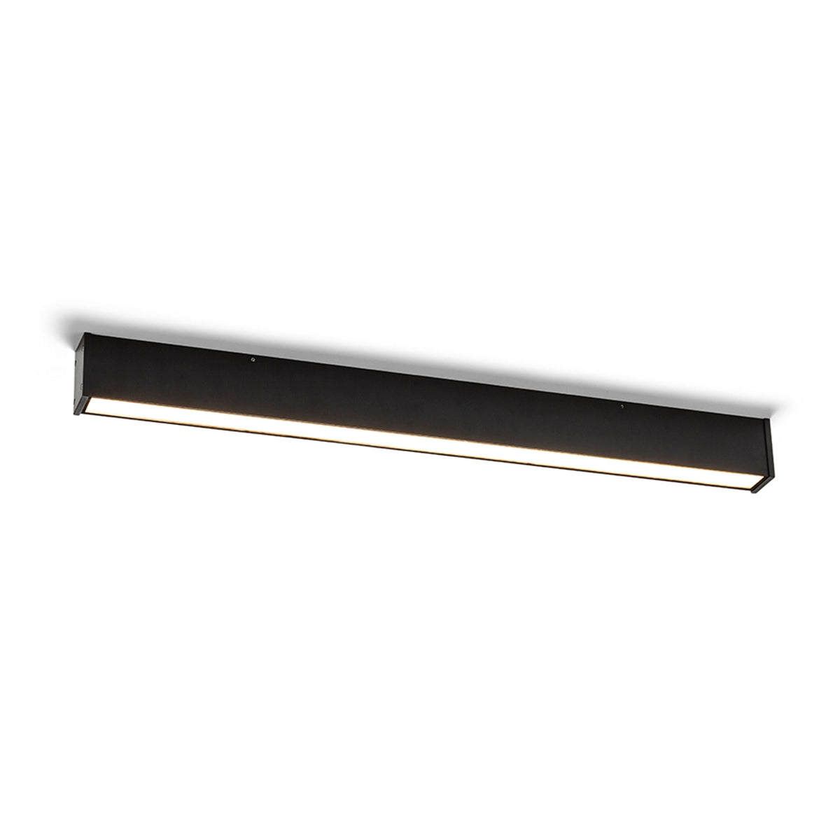 CARME 100 buitenplafondlamp zwart