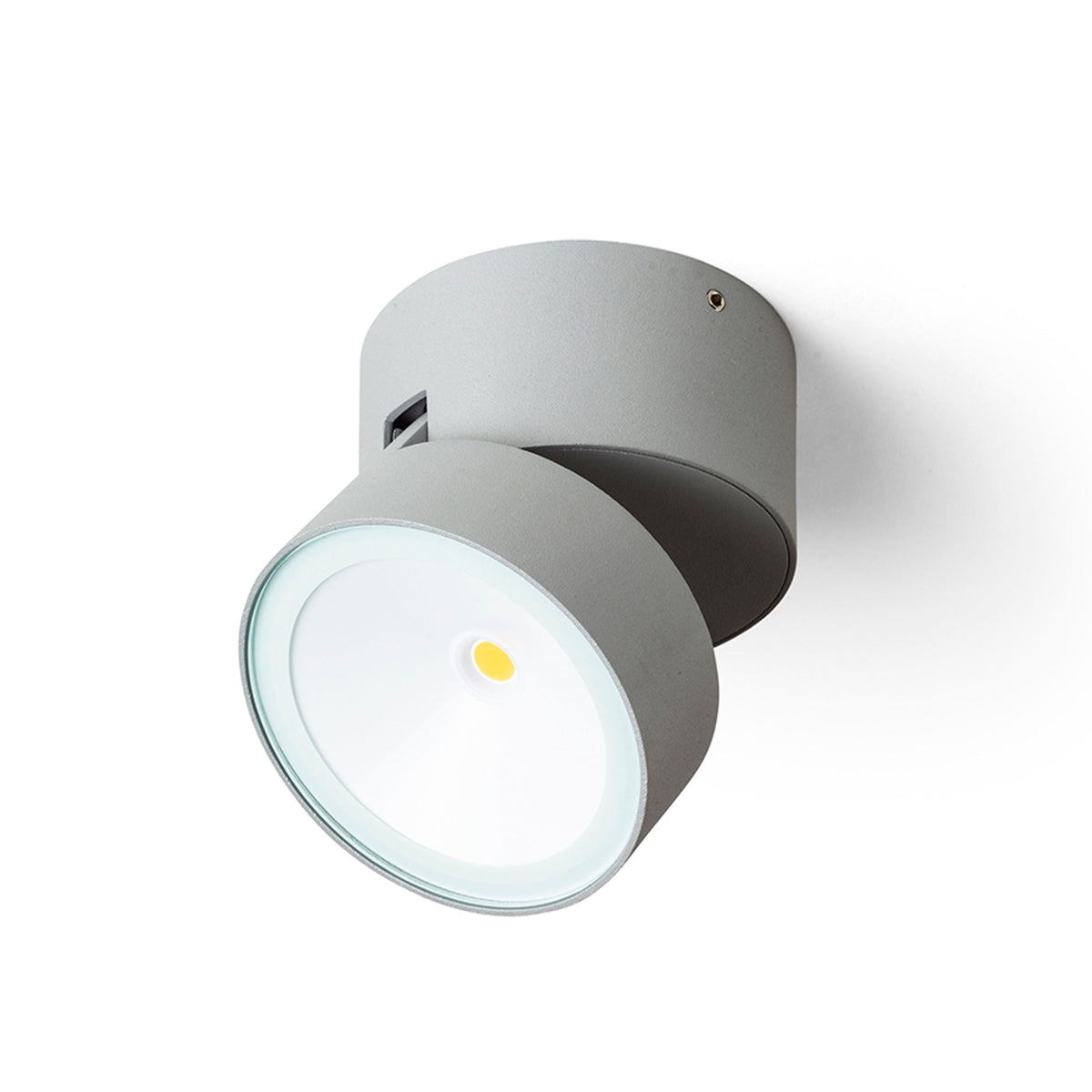 FLAVIO R buitenplafondspot lichtgrijs