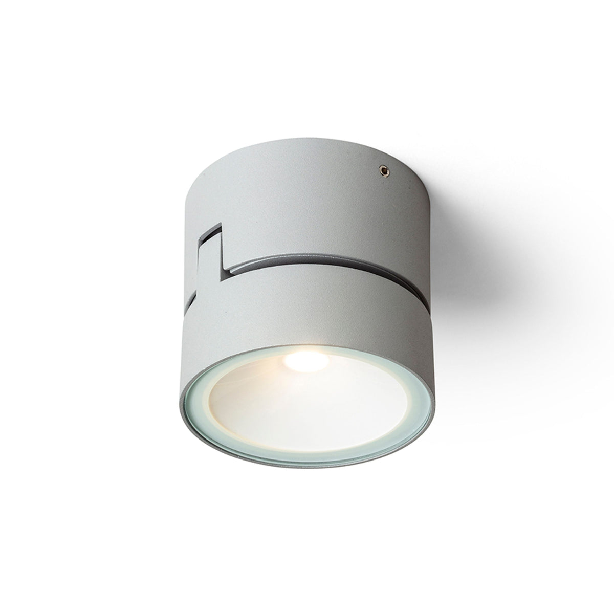 FLAVIO R buitenplafondspot lichtgrijs, afbeelding 2