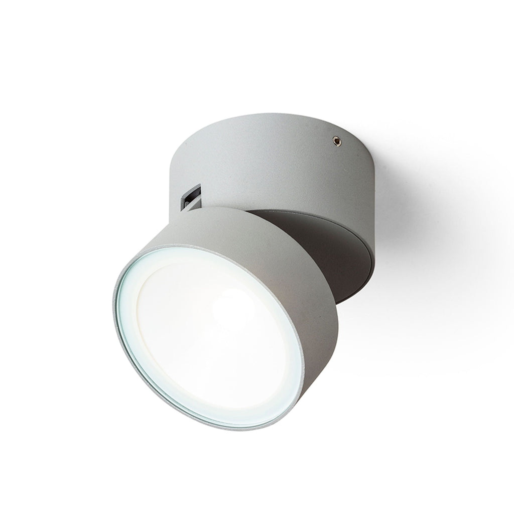 FLAVIO R buitenplafondspot lichtgrijs, afbeelding 4