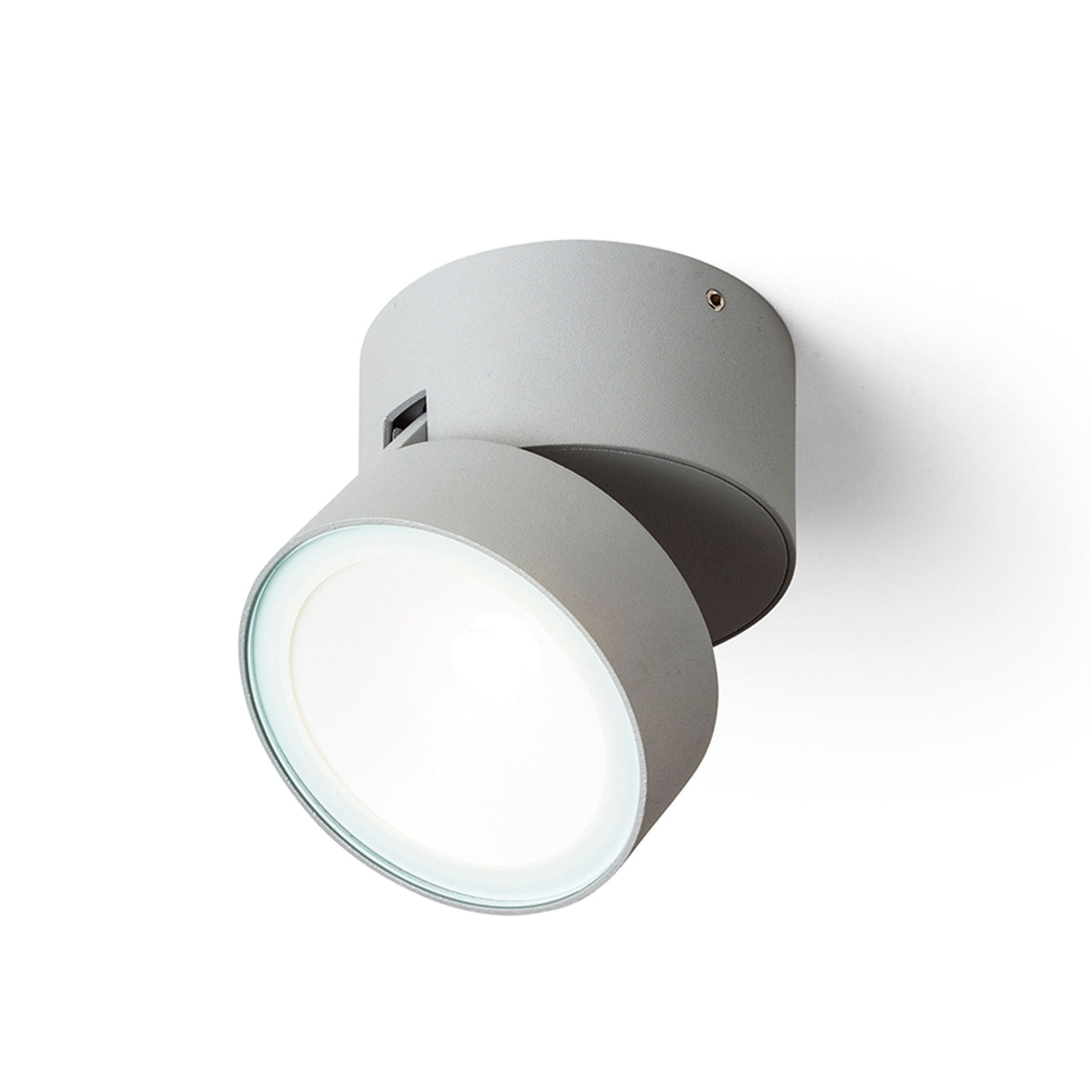 FLAVIO R buitenplafondspot lichtgrijs, afbeelding 4