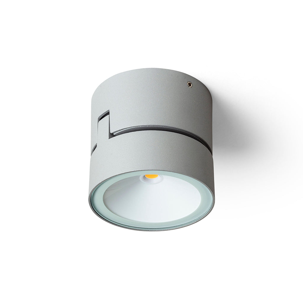 FLAVIO R buitenplafondspot lichtgrijs, afbeelding 5