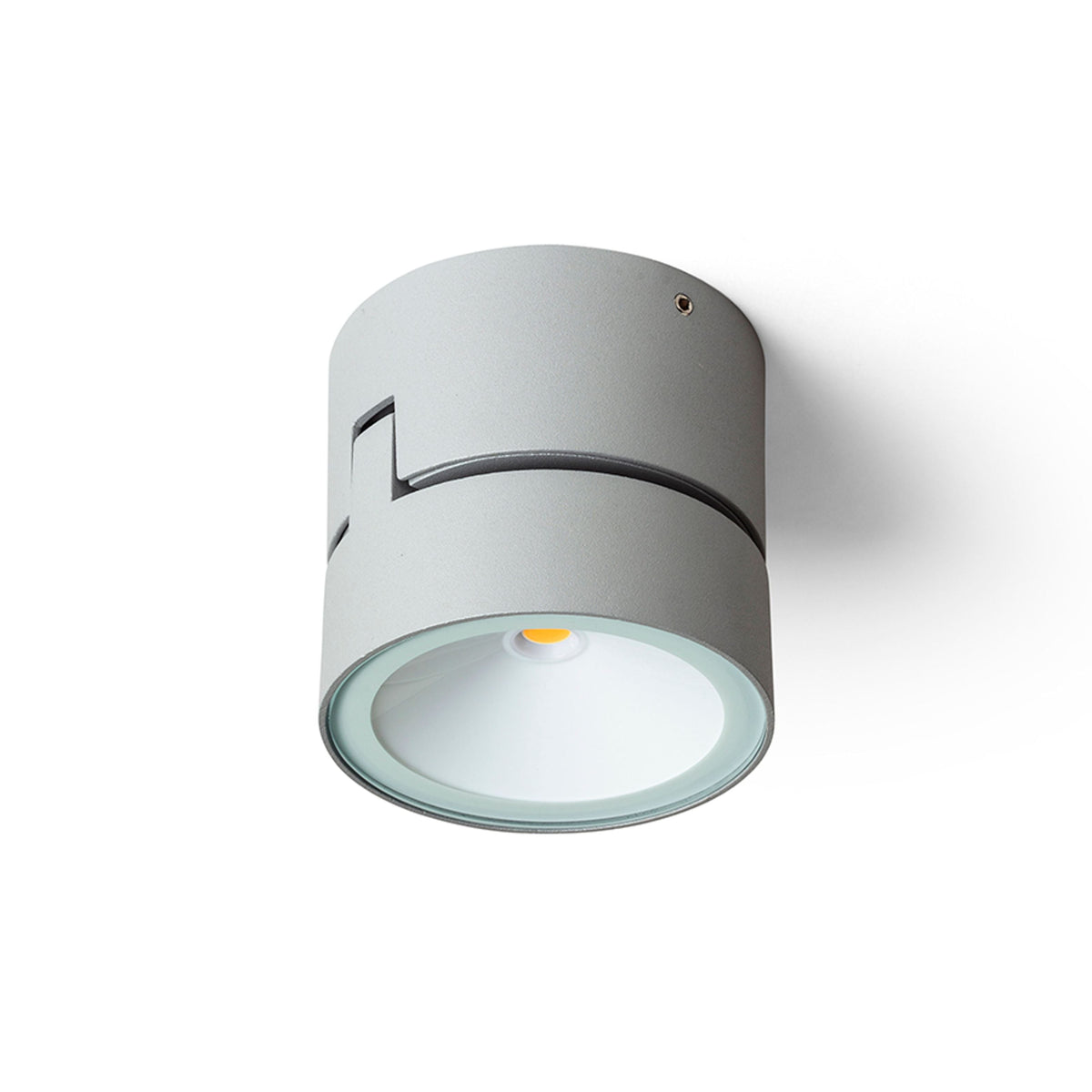 FLAVIO R buitenplafondspot lichtgrijs, afbeelding 5