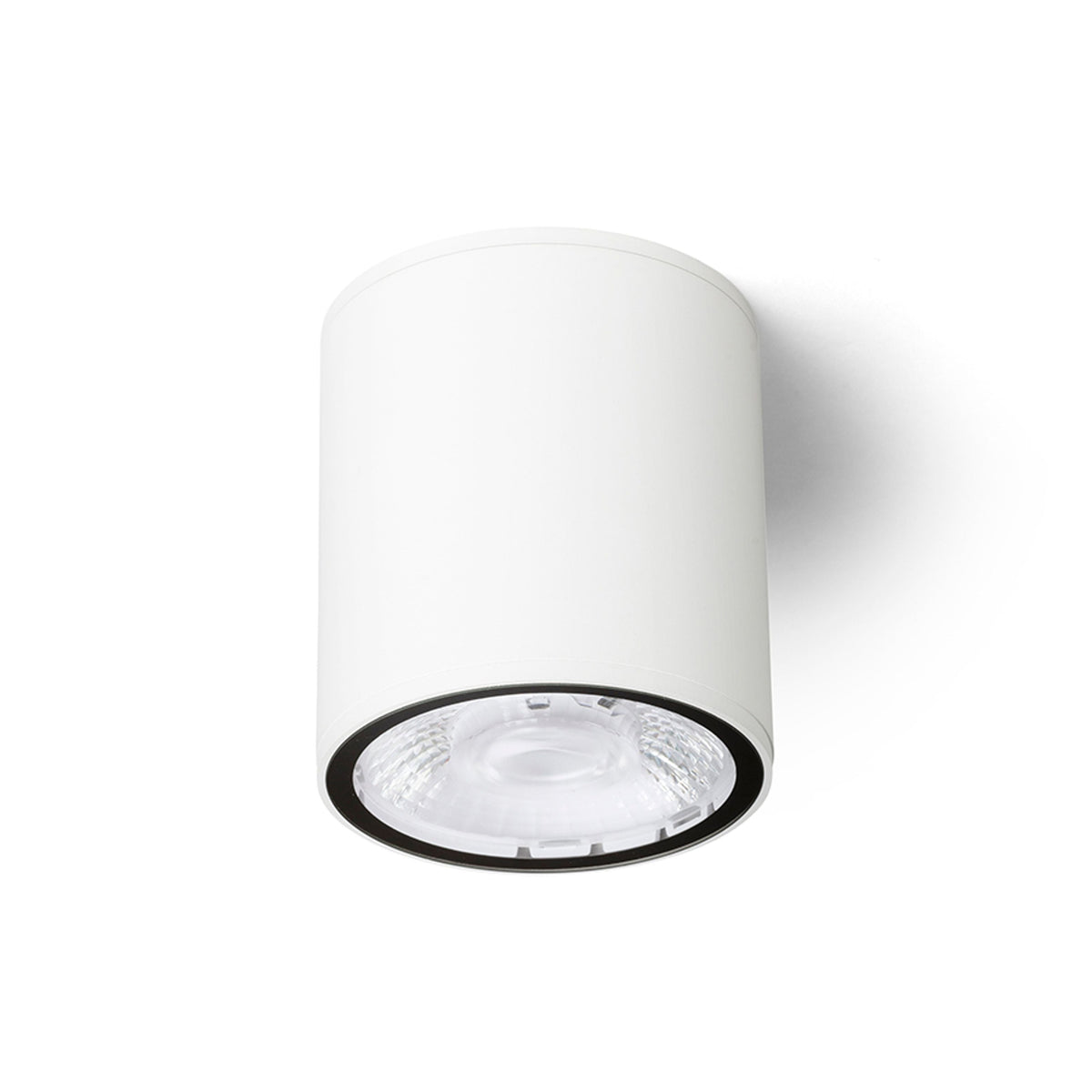 KORNELIA 10 buitenplafondlamp wit