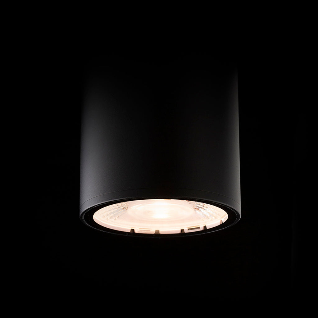 KORNELIA 10 buitenplafondlamp zwart, afbeelding 3